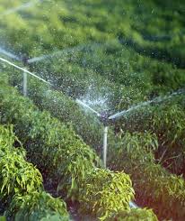 Irrigation, lighting fixtures & equipment. Irrigation System Repair Beautiful Finish Landscaping Inc