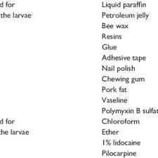 We did not find results for: Mechanical Removal Of Maggots With Wound Debridement Figure 5 Follow Download Scientific Diagram