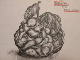 Maybe you would like to learn more about one of these? Rotting Fruit More Detailed Pencil Drawing Gemmaschiebefineart
