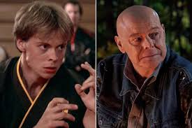 Every Karate Kid Actor Who Returned for Cobra Kai