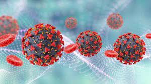 Il virus marburg presenta la classica struttura dei filovirus. Siap Grak Penasihat Who Optimis Wabah Virus Marburg Mirip Ebola Di Guinea Bisa Dibendung