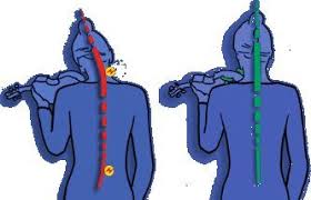 Health Shoulder Rest Viva Sas Viva La Musica Sas Ltd Violin Music Violin Teaching Violin Teacher