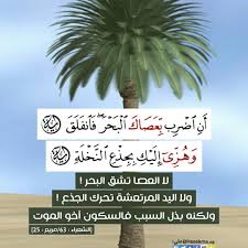 القرآن روح من أمر الله نور وهدى شفاء ورحمة islamic quotes quran quran quotes quran verses