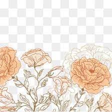 Hand Painted Flowers Vector Orange Flowers Flowering Png Transparent Clipart Image And Psd File For Free Download Line Art Flowers Flower Background Wallpaper Flower Graphic