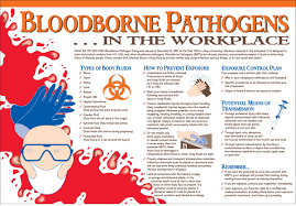 Compliance manual*, completion certificate* & wallet cards*, training and. Brady 105623 Bloodborne Pathogens Sign 29 In X 20 In Rshughes Com