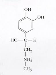 Image result for Epinephrine