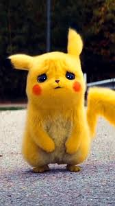10 Cutest Pikachu Videos Pikachu Pokemon In 2020 Cute Pikachu Cute Bunny Cartoon Cute Pokemon