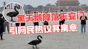 Jul 06, 2021 · 黑天鵝：電影原聲帶（black swan: 2g77zjp8bpz9am