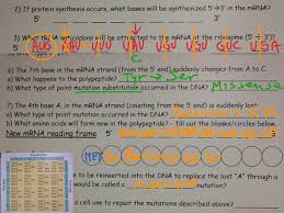 10/15/15 unit 2 genetics study guide. Genetics Worksheet Genetics Microbiology Showme