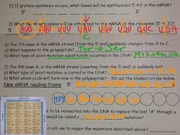 Heterozygous round = rr, oval = rr b. Topic Genetics Showme Online Learning