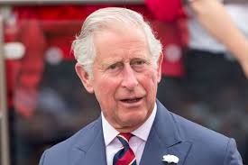 Buckingham Palace Feared King Charles Could Face Prosecution