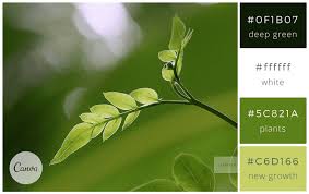 We did not find results for: 100 Kombinasi Warna Brilian Dan Cara Menggunakan Pada Desain Canva