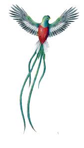 35e0d050e png 872 1534 tatuaje de quetzal el quetzal tatuajes de aves pequenas 35e0d050e png 872 1534 tatuaje de