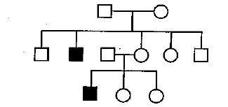 Choose The Correct Answer From The Alternatives Given