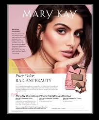 Mary Kaye Fleming, Independent Sales Director