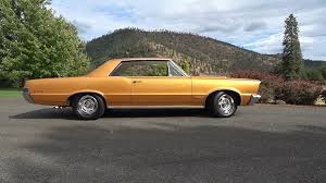 Image result for Tiger Gold 1965 GTO