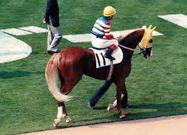 壁紙を探す タグ faq chat サイトについて. Https Xn O9j0bk9l4k169rk1cxv4aci7a739c Com Post 15577