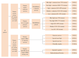 Solved Post Acute Care Payments Though We Often Think Abo