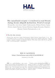 Un nouveau mod de sims 4 rencontre un succès fou, et pour cause : Pdf The Cannabinoid Receptor 1 Is Involved In Renal Fibrosis During Chronic Allograft Dysfunction Proof Of Concept