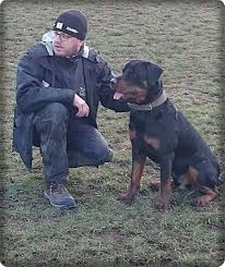 Außerdem vermeiden sie durch rechtzeitiges eingreifen die. Startseite A S Hundeschule Andreas Schwammlein