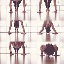 Profile for Adam Bator Yoga & Corrective Exercise