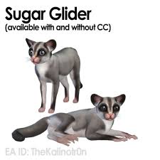 With this great mod, your sims can have a babyshower party when your sim is pregnant. Sims 4 Sugar Glider Downloads Sims 4 Updates
