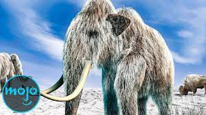Top 10 Animals Scientists Want To Bring Back From Extinction Youtube