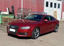 Image result for Garnet Red 2010 A5