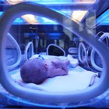 Normal bilirubin levels are usually under 5mg/dl, but most newborns have it above 5mg/dl and have some kind of jaundice at birth. Jaundice In Newborns Could Be An Evolutionary Safeguard Against Death From Sepsis