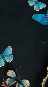 Free butterfly wallpapers and butterfly backgrounds for your computer desktop. Aesthetic Wallpaper Blue Butterfly Black Background Download Free Mock Up