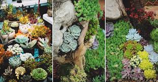 Even if you're not lucky enough to call versailles home, you can still make your tiny patch of green look these small garden ideas have more than enough inspiration to bring style to your home, regardless of your design aesthetic. 100 Succulent Garden Ideas For Uniqueness And Intrigue In Your Garden