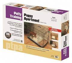 the potty training puppy apartment ideal fur topfchentraining altere hunde als tr