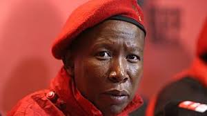 Julius sello malema (born 3 march 1981) is the leader of the economic freedom fighters, a south african political party, which he founded in july 2013. More About Julius Malema Africanews