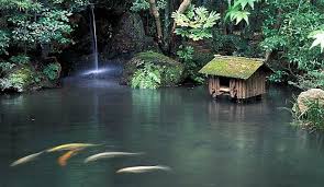 Zen Gardens A Brief History And Instructions For Making Your Own Aleph