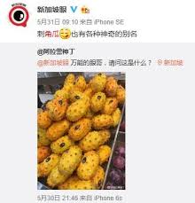 Check spelling or type a new query. æ–°åŠ å¡16ç§æ°´æžœ å¥‡è'©çº§åˆ«å¤§æŽ'å