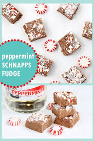 3 Ingredient Peppermint Schnapps Fudge Topped With Candy Canes Peppermint Schnapps Recipe Schnapps Recipe Christmas Recipes Easy