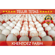 Imbasnya daya beli masyarakat menurun. Telur Ayam Serama Shopee Indonesia