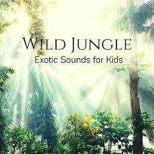 First things first, a jungle can be difficult to walk through! Lost In The Jungle By New Age Anti Stress Universe