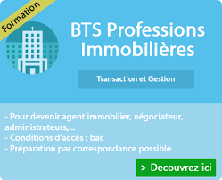 Devenir négociateur immobilier c'est faire de la vente de biens immobiliers son métier. Formation Bts Professions Immobilieres Montelimar