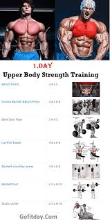 strength and bodybuilding workout gofitday bodybuilding workouts upper body strength workout bodybuilding program