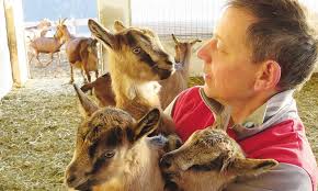 Törggelen in Südtirol: tipica usanza altoatesina