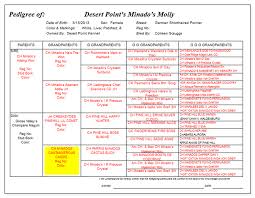 Whether you want to go with a breeder or get your dog from a shelter. Desert Point S Molly Desert Point Kennels 209 256 4853
