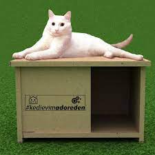 adore mobilya adli kullanicinin hayvanlar alemi panosundaki pin kedi evi hayvanlar alemi kedi