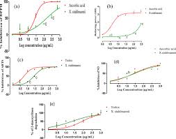 Image result for Xeroderris stuhlmannii