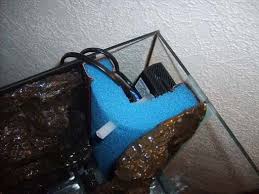 Oscar Fish Forum Topic Another Low Power Set Up Build 5 6 Oscar Fish Diy Aquarium Fish Tank