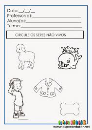 Plano de aula e Atividades sobre seres vivos e não vivos para imprimir e  trabalhar com a Educação Infantil e Alfabetização-ESPAÇO PEDAGÓGICO