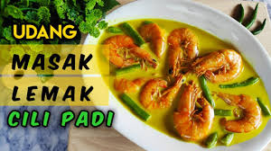 Letak sekejap sahaja sehingga badan udang bertukar warna menjadi merah & merengkot. Udang Masak Lemak Cili Api Tips Kuah Yang Sedap Terangkat Youtube