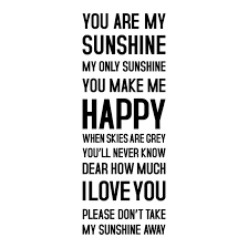 Wandtattoo Sprüche You Are My Sunshine