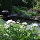 Evening in the Garden