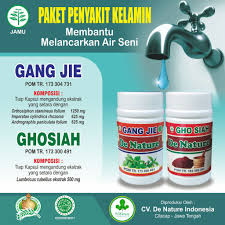 Penyakit ini, tergolong cukup berbahaya. Obat Terkena Ciri Ciri Rajasinga Sipilis Sifilis Sypilis Ampuh Di Shopee Shopee Indonesia